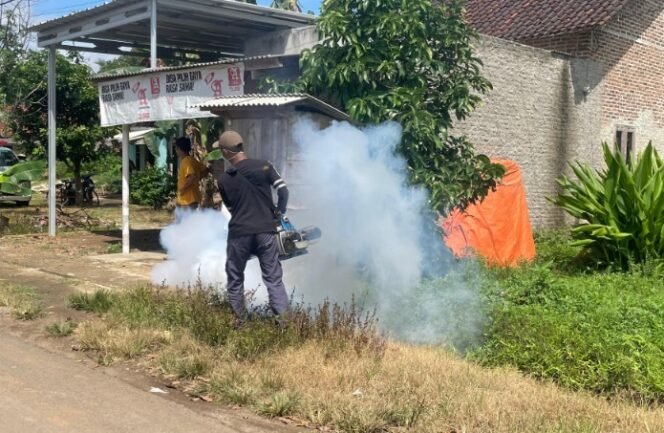 
					Respon Penyebaran Kasus DBD, Puskesmas Kalirejo Pesawaran Gelar Serangkaian Upaya Mitigasi